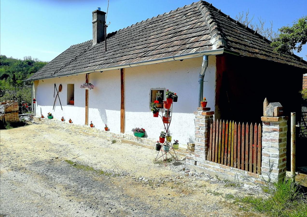Traditionelles Bauernhaus Flieder Zalaszentgrót Exteriér fotografie